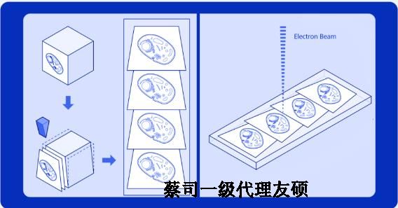 上海蔡司上海扫描电镜