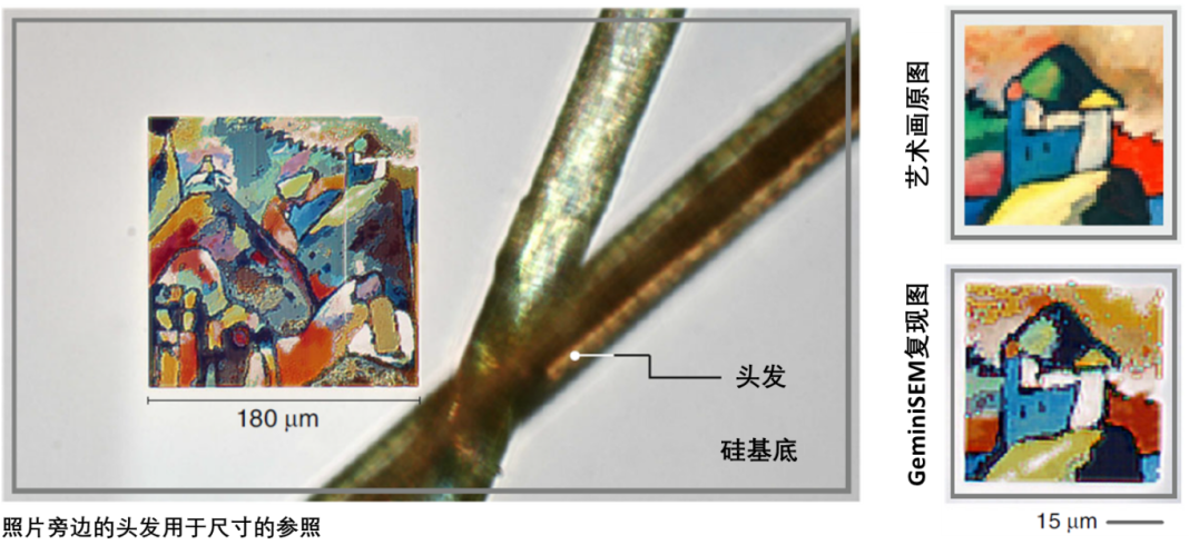 上海蔡司上海扫描电镜