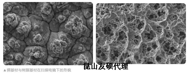 上海蔡司上海扫描电镜