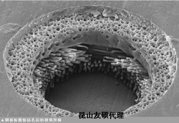 上海蔡司上海扫描电镜